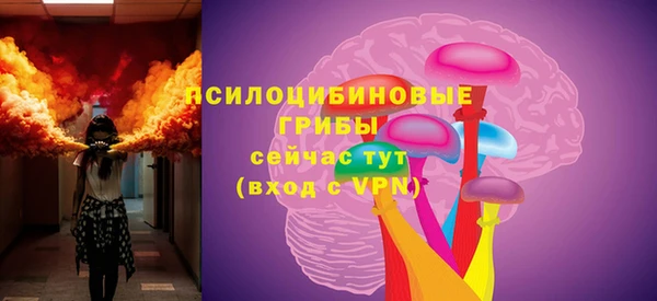 эйфоретик Алзамай